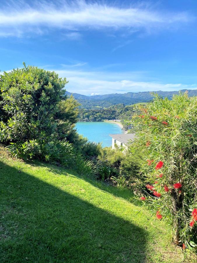 Coromandel Seaview Motel Style B&B Esterno foto